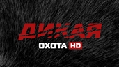 Дикая охота 